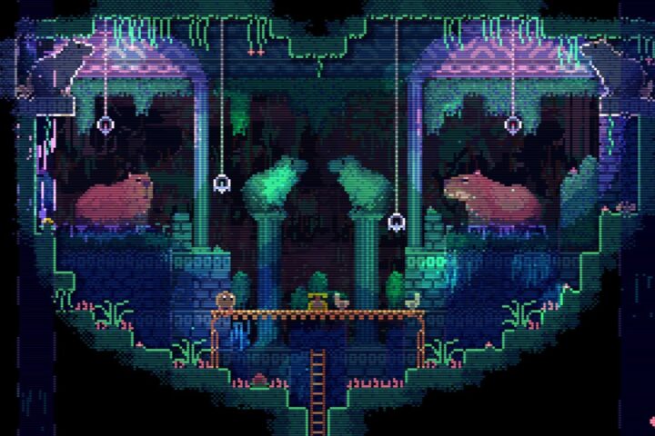 Animal Well