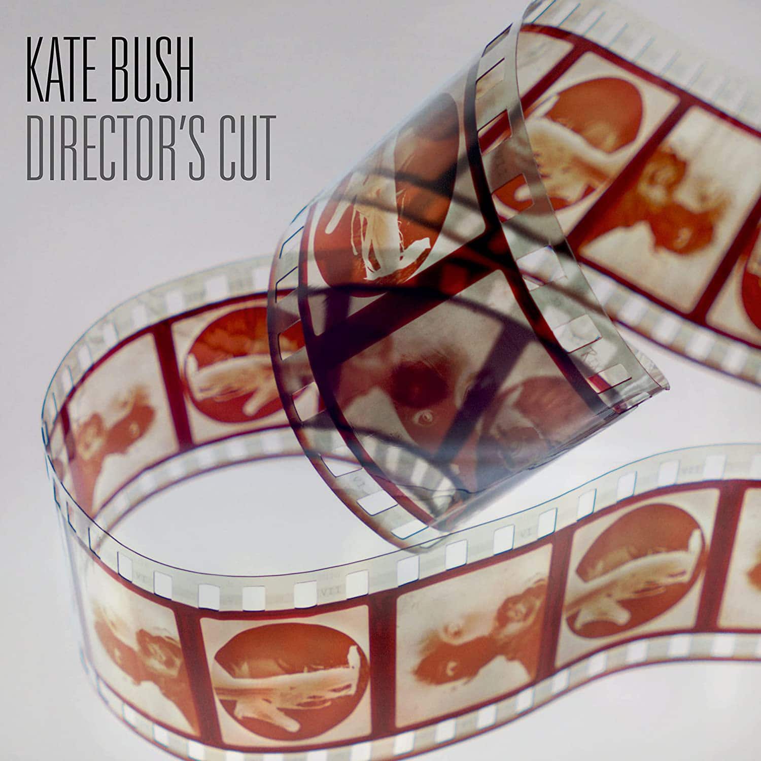 Kate Bush, Director's Cut