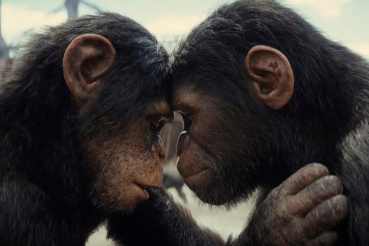 Kingdom of the Planet of the Apes