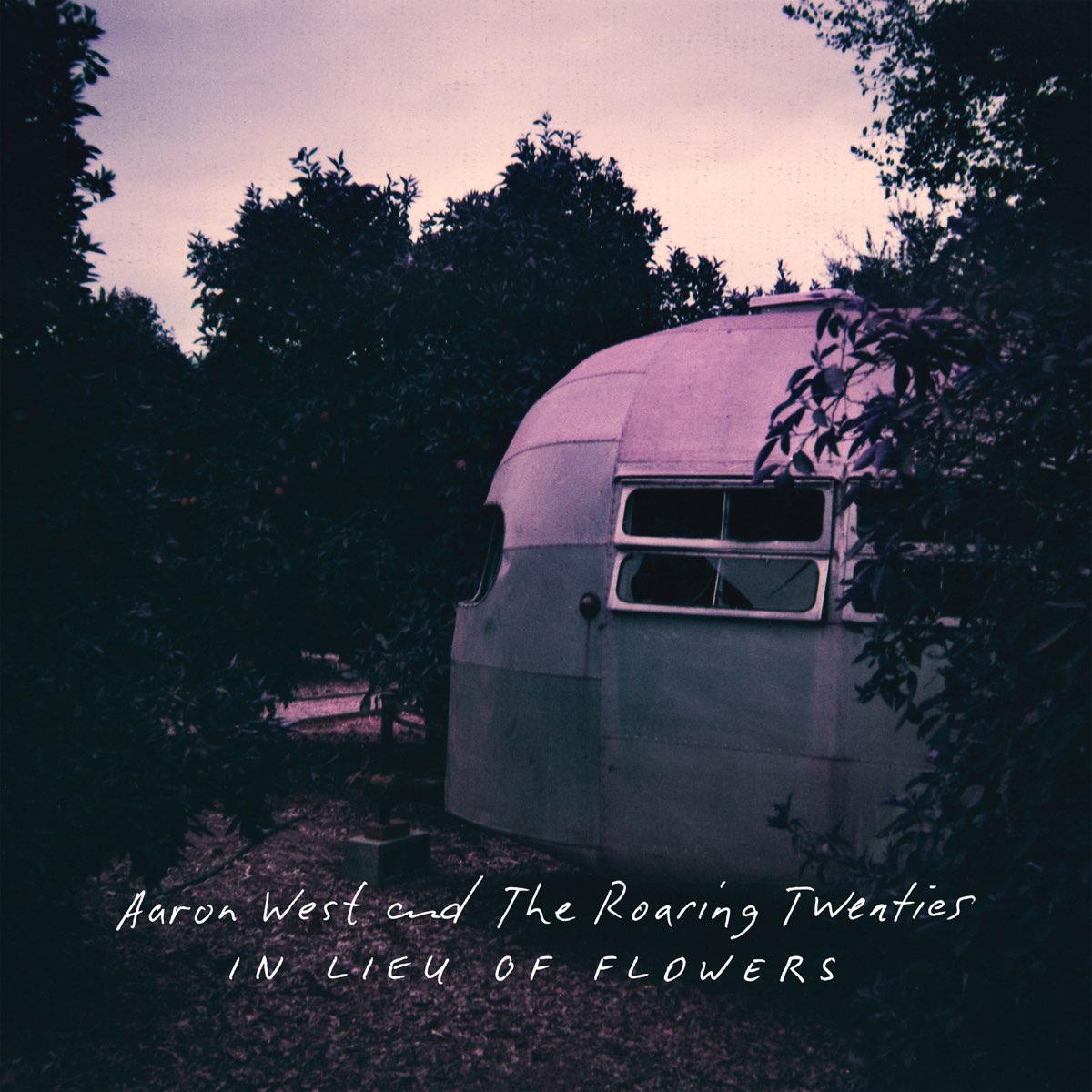 Aaron West and the Roaring Twenties, In Lieu of Flowers