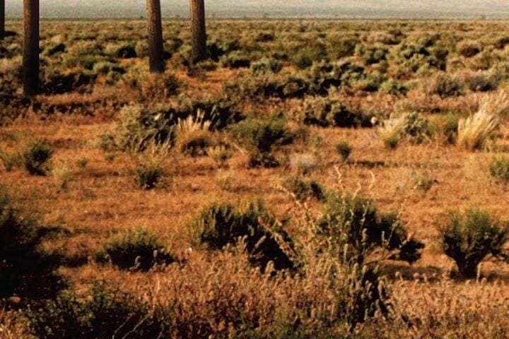Paris, Texas